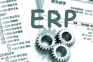 ERP管理软件(标准版)